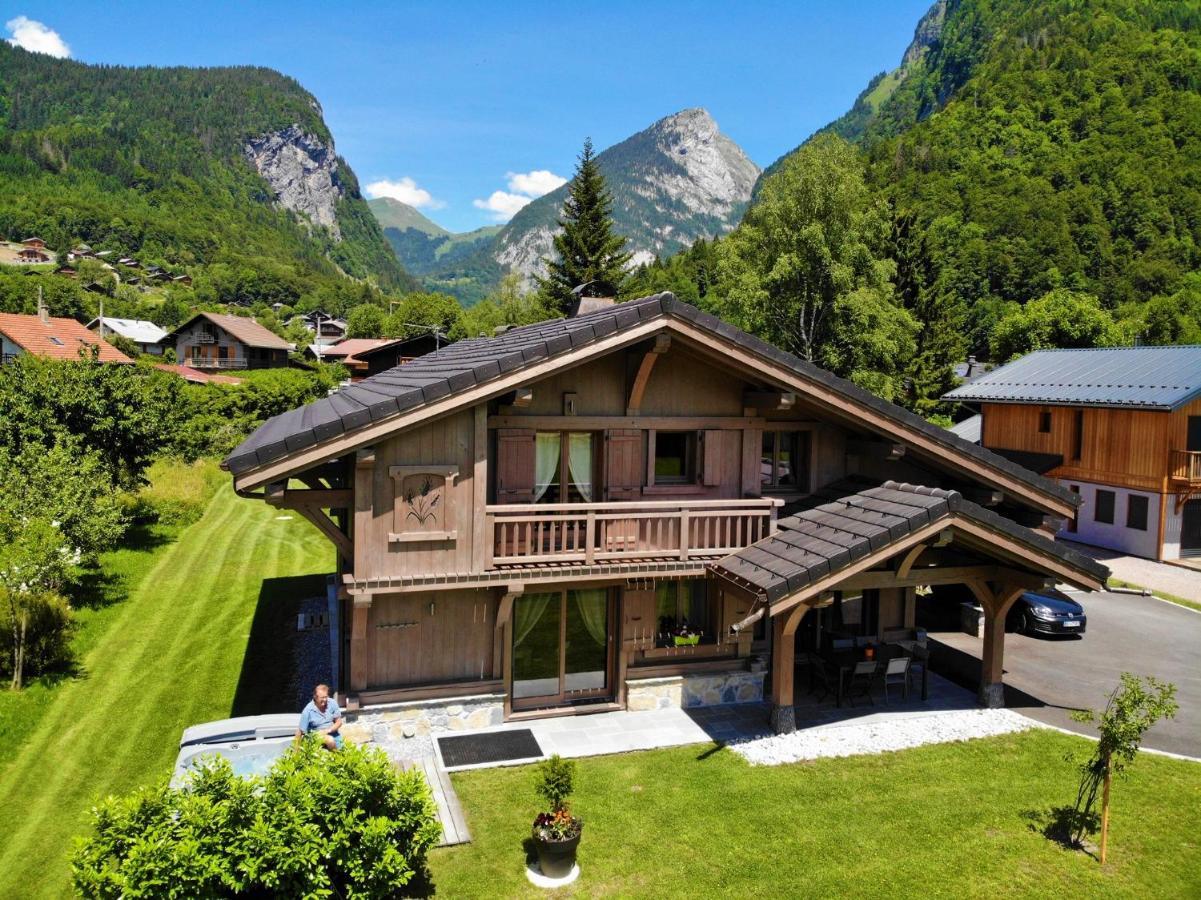 Chalet Luxe Les Melezes Samoëns Kültér fotó